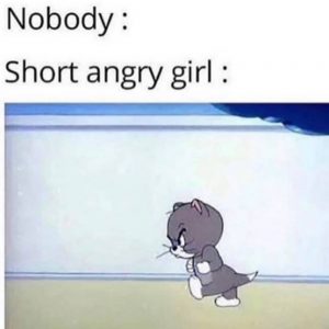 memes-on-short-girl