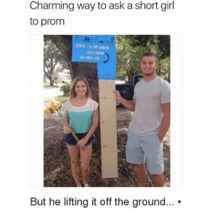 short-girl-meme