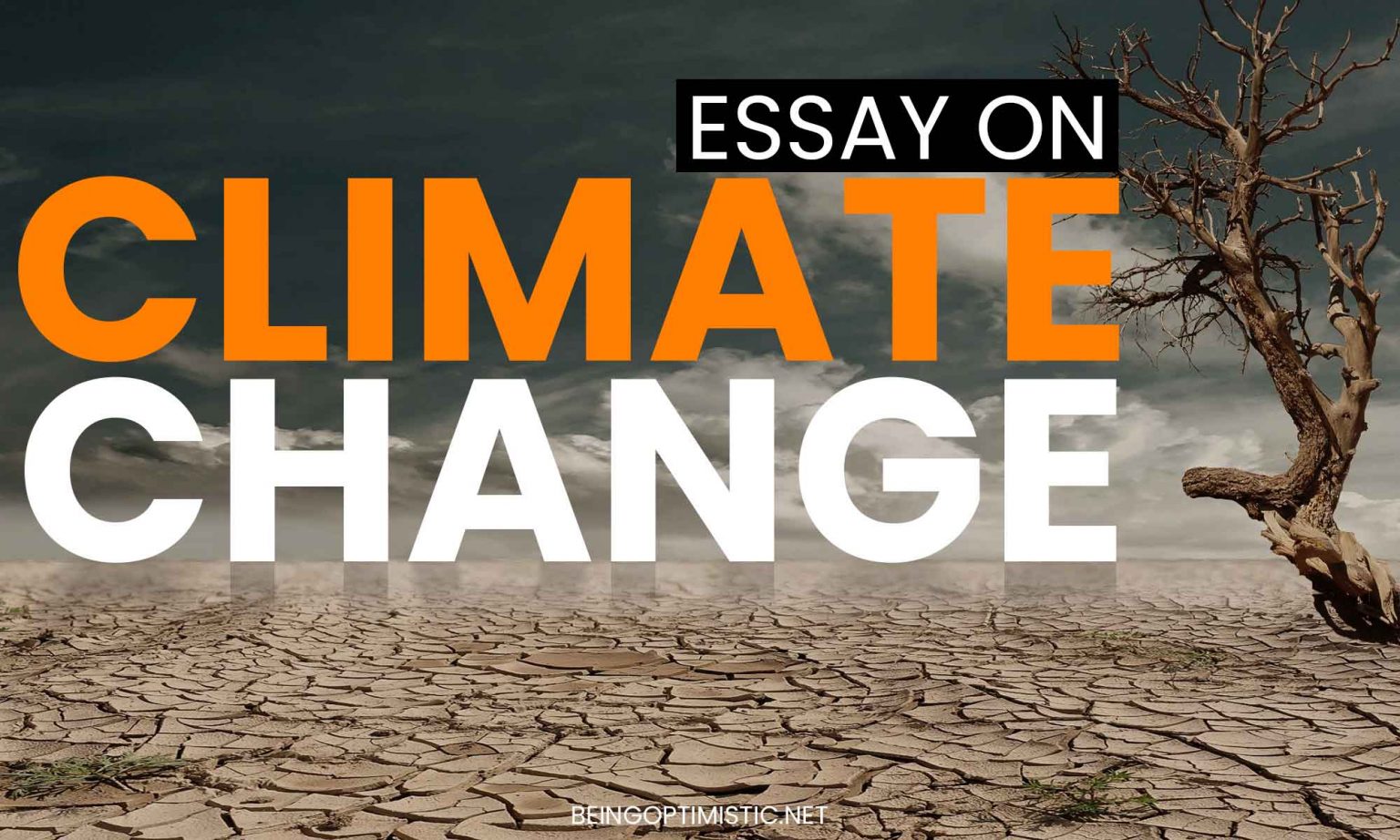 write a reflective essay entitled climate change how can i help