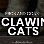 Pros and Cons of Declawing Cats
