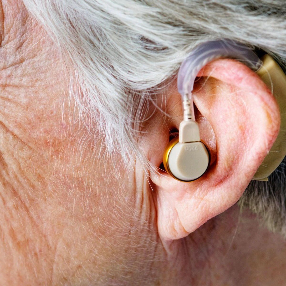 Hearing Aids How Do They Work?