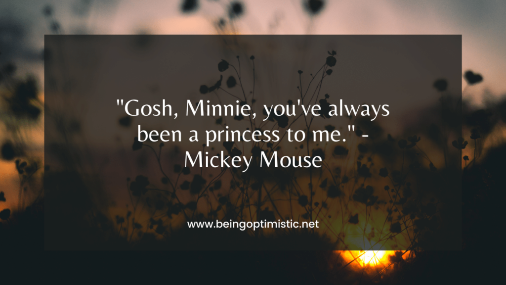 "Gosh, Minnie, you've always been a princess to me." - Mickey Mouse