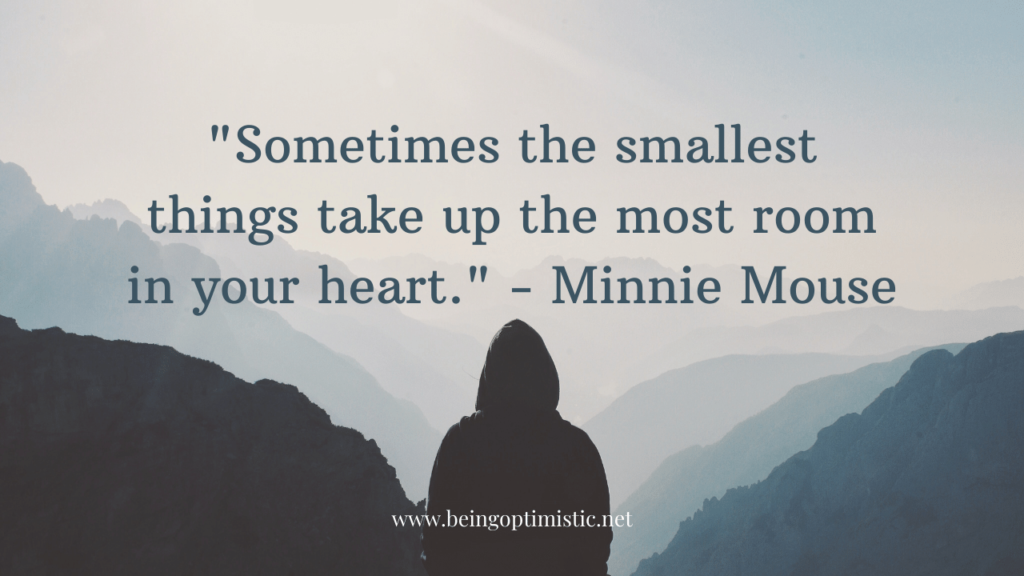 "Sometimes the smallest things take up the most room in your heart." - Minnie Mouse