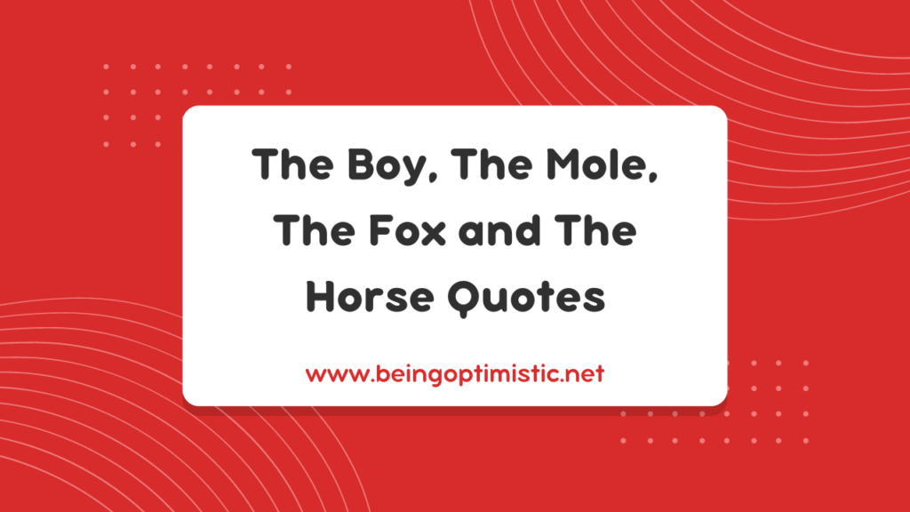 The Boy, The Mole, The Fox and The Horse Quotes
